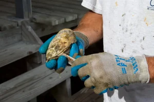 Anthony Bourdain London oysters: tracing the chef’s city through a new biopic